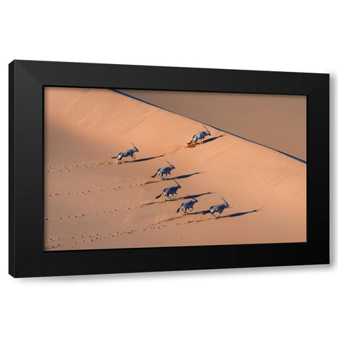 Oryx In The Desert Black Modern Wood Framed Art Print by Li, Min