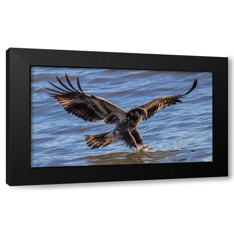 Catching Black Modern Wood Framed Art Print with Double Matting by Zuo, Jun