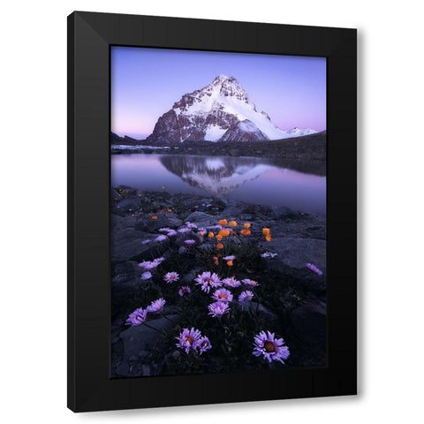 GodS Backyard Black Modern Wood Framed Art Print by Hao, Damon