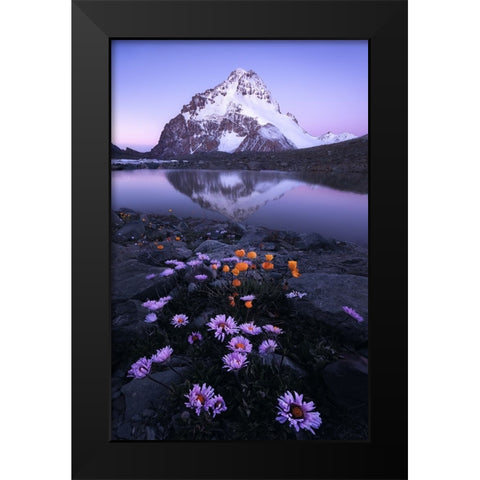 GodS Backyard Black Modern Wood Framed Art Print by Hao, Damon
