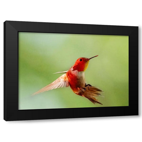 Red Light Black Modern Wood Framed Art Print with Double Matting by Chen, Ming