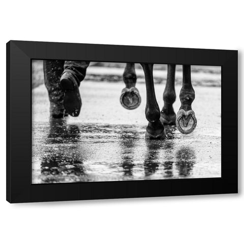 Water Hooves Black Modern Wood Framed Art Print with Double Matting by Lee Chapman, Sharon