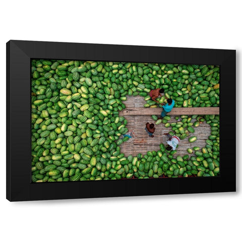 Boats Of Huge Watermelons Black Modern Wood Framed Art Print by Khan Ronnie, Azim