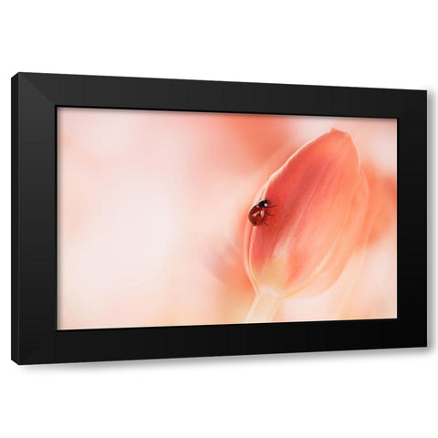 Simplicity Black Modern Wood Framed Art Print by Van Deelen, Ellen