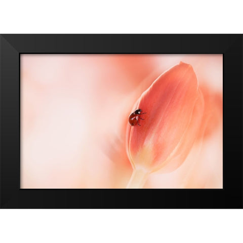 Simplicity Black Modern Wood Framed Art Print by Van Deelen, Ellen