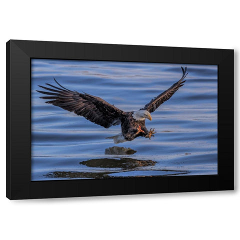 Catching Black Modern Wood Framed Art Print with Double Matting by Zuo, Jun