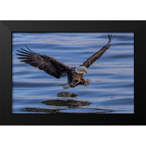 Catching Black Modern Wood Framed Art Print by Zuo, Jun