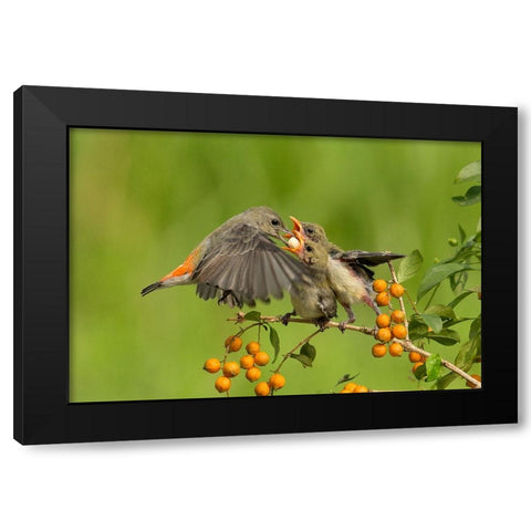 MotherS Love Black Modern Wood Framed Art Print by Muliani Hartojo, Angela