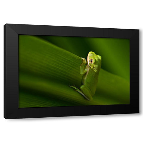 Take A Look Outside Black Modern Wood Framed Art Print by He, Mike