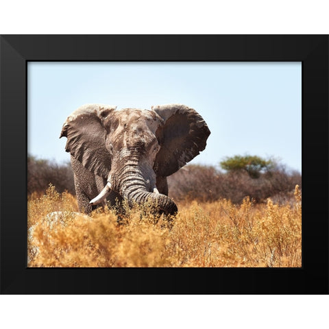 The Guard Black Modern Wood Framed Art Print by Groth, Claudia