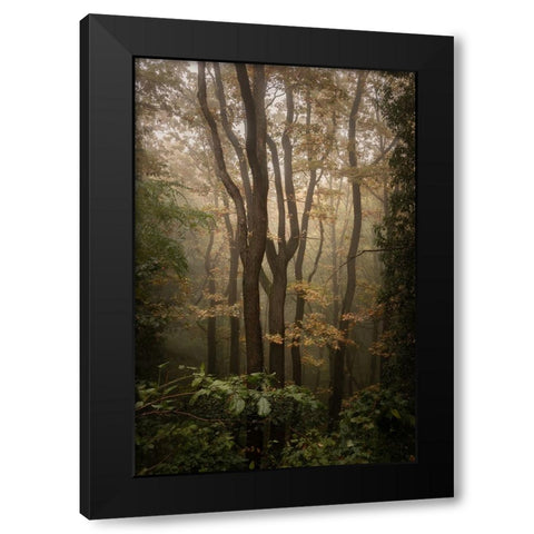 Fruska Gora Black Modern Wood Framed Art Print with Double Matting by Tomic, Tomislav
