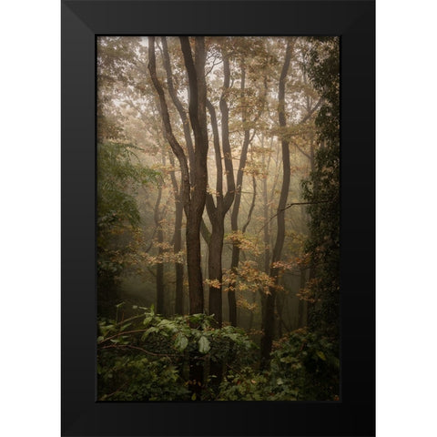 Fruska Gora Black Modern Wood Framed Art Print by Tomic, Tomislav