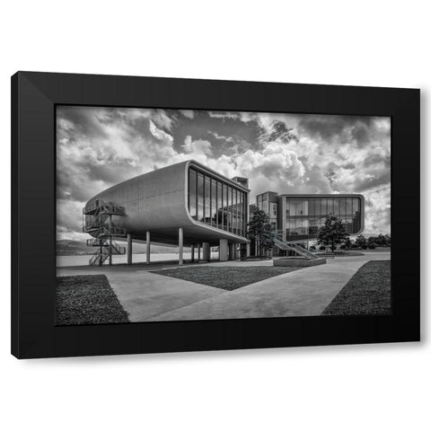 Botasn Center Black Modern Wood Framed Art Print by Rodriguez De, Enrique