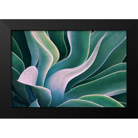 Shades Of Summer Black Modern Wood Framed Art Print by Wechsler, Robin