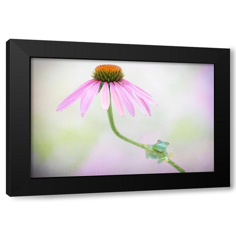 Protected Black Modern Wood Framed Art Print with Double Matting by Doyle, Renee