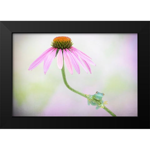 Protected Black Modern Wood Framed Art Print by Doyle, Renee