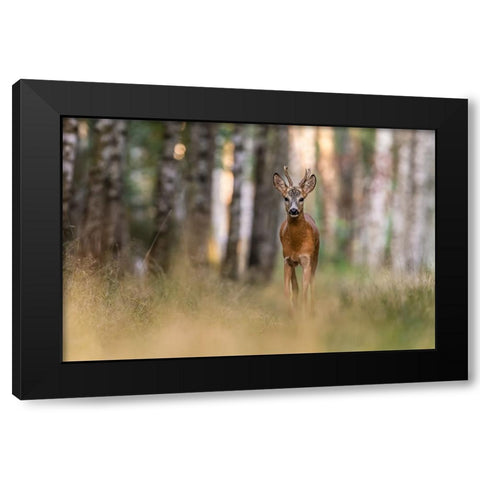 Untitled Black Modern Wood Framed Art Print with Double Matting by S., Damian