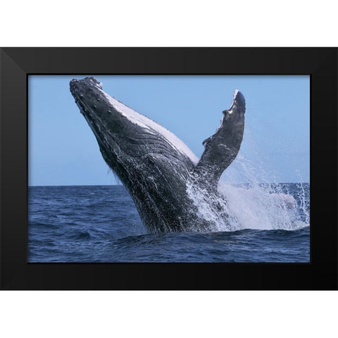 Power Black Modern Wood Framed Art Print by Melesan, Serge