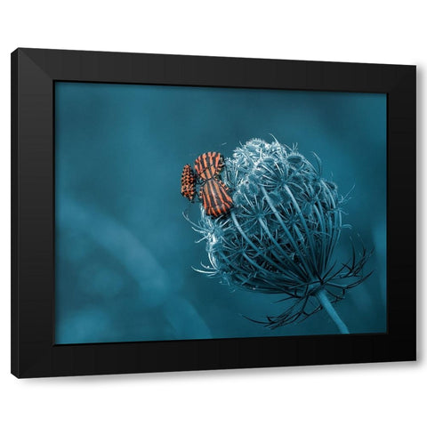 Macnage An Trois Black Modern Wood Framed Art Print with Double Matting by Stefanel, Nicolae