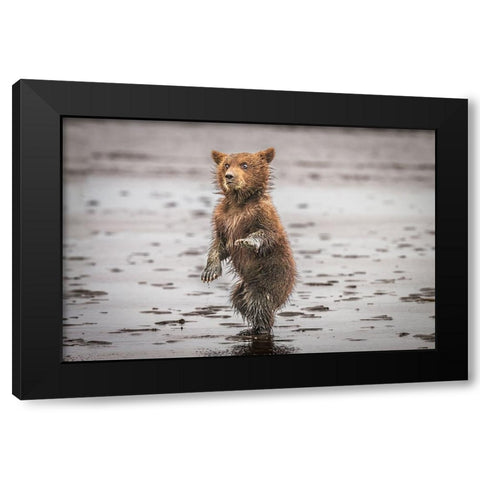 Qbustedq Black Modern Wood Framed Art Print by C. Sink, Jeffrey