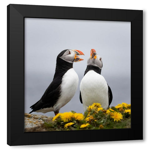 Singing Together Black Modern Wood Framed Art Print by Fu, Molly