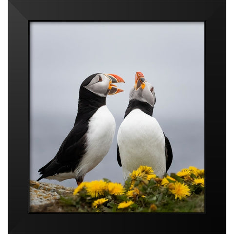 Singing Together Black Modern Wood Framed Art Print by Fu, Molly