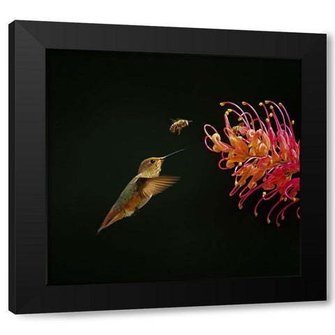 Having Fun Together Black Modern Wood Framed Art Print with Double Matting by Huang, Xiaojian