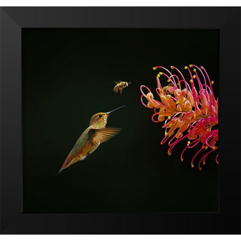 Having Fun Together Black Modern Wood Framed Art Print by Huang, Xiaojian