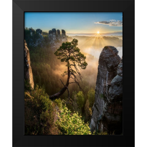 The Third Most Famous Pine Of Saxony Switzerland Black Modern Wood Framed Art Print by Holic, Filip