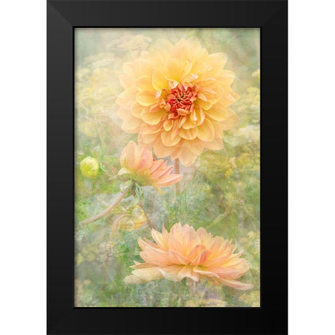 Secret Garden Black Modern Wood Framed Art Print by Parker, Jacky