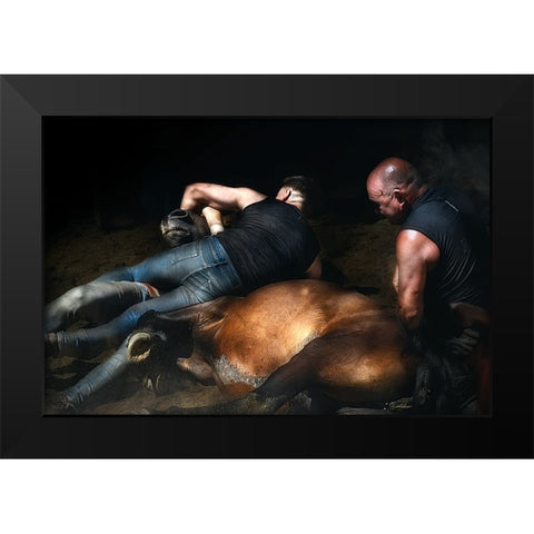 The Knock Down (A Rapa Das Bestas) Black Modern Wood Framed Art Print by Pascual Buye, Santiago