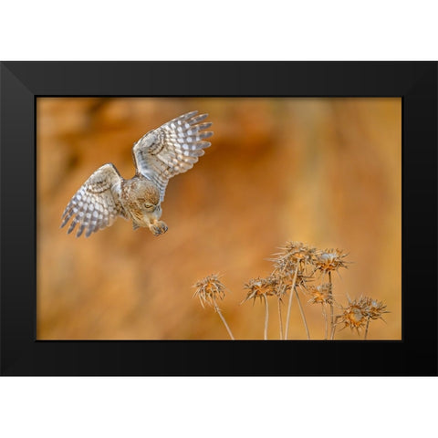 Careful Black Modern Wood Framed Art Print by Rudaeff, Pablo