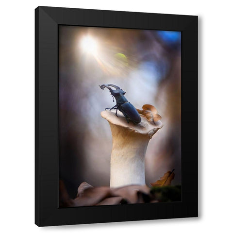 Towards Black Modern Wood Framed Art Print by Bykanova, Victoria