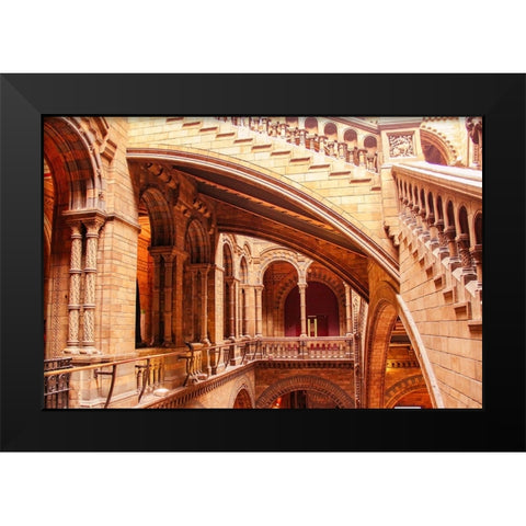 In Natural History Museum Black Modern Wood Framed Art Print by Kogan, Anna