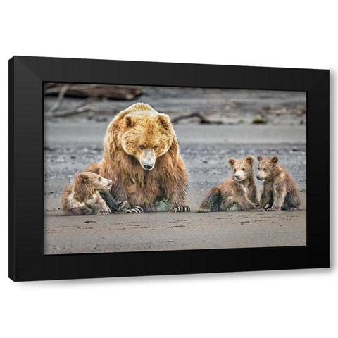 The Triplets Black Modern Wood Framed Art Print by C. Sink, Jeffrey