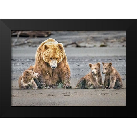 The Triplets Black Modern Wood Framed Art Print by C. Sink, Jeffrey