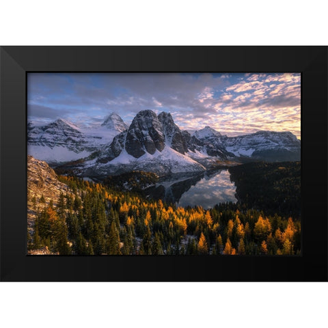 Mt. Assiniboine Black Modern Wood Framed Art Print by Wei, Willa