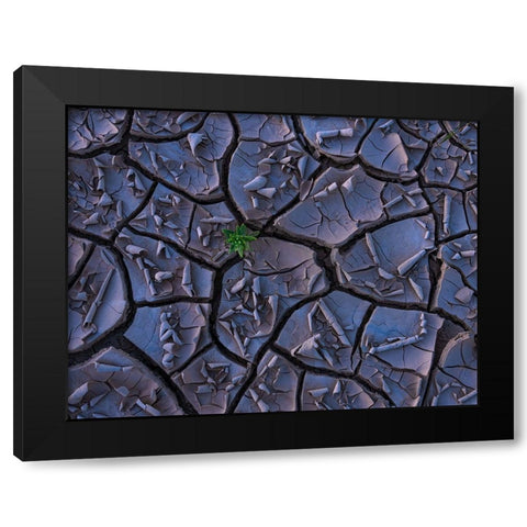 Cracking Beauty Black Modern Wood Framed Art Print by P., Ruiqing
