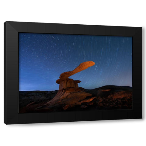 King Of Wings Black Modern Wood Framed Art Print with Double Matting by Ji, Shirley