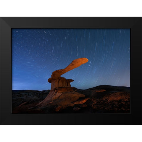 King Of Wings Black Modern Wood Framed Art Print by Ji, Shirley