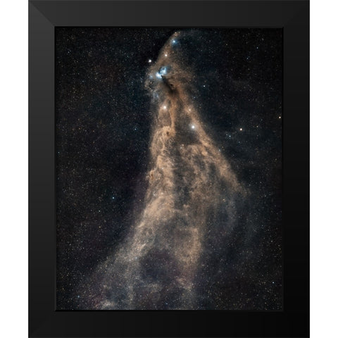 Southern Crown Black Modern Wood Framed Art Print by Chander, Vikas