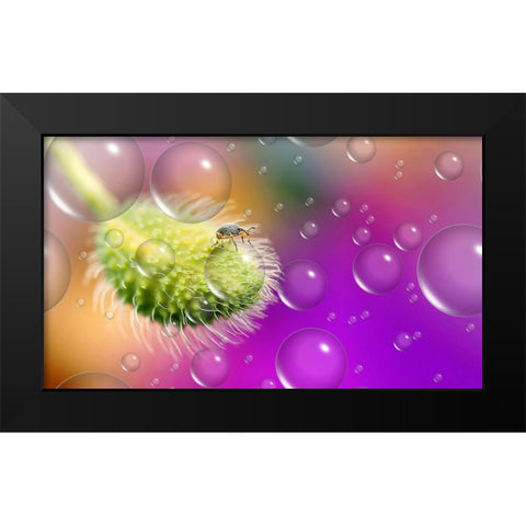 Explorer Of The UnIVerse... Black Modern Wood Framed Art Print by Dufour, Thierry