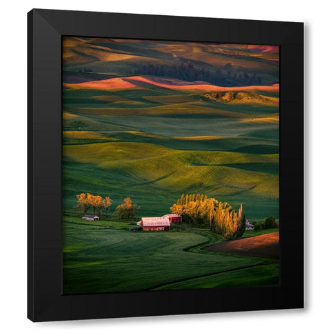 Wheat Field 3 Black Modern Wood Framed Art Print by Sheng, Alice