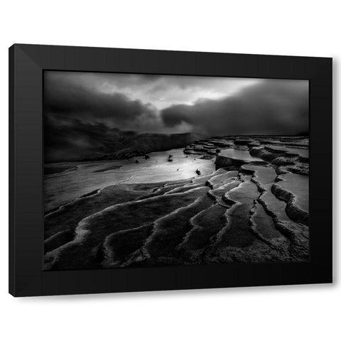 Lord Of Nature Black Modern Wood Framed Art Print with Double Matting by Arabzadeh, Abbas