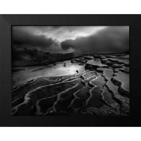 Lord Of Nature Black Modern Wood Framed Art Print by Arabzadeh, Abbas