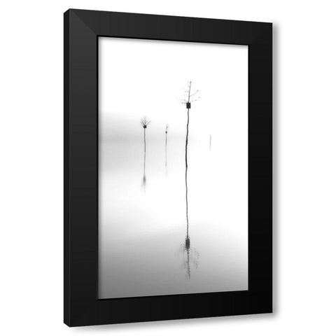 Trees Black Modern Wood Framed Art Print by Zhang, Mei