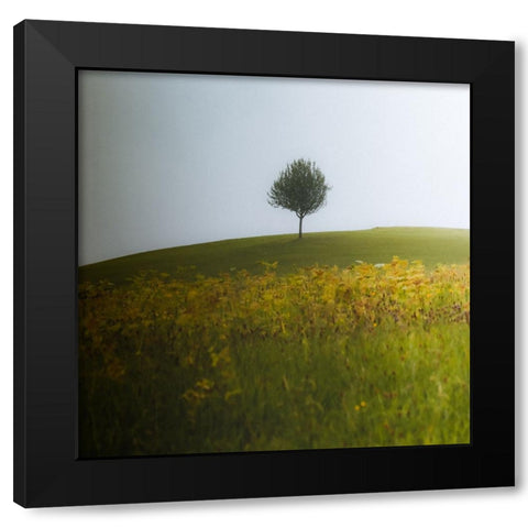 A Summer Day In August Black Modern Wood Framed Art Print by Wasinger, Renate