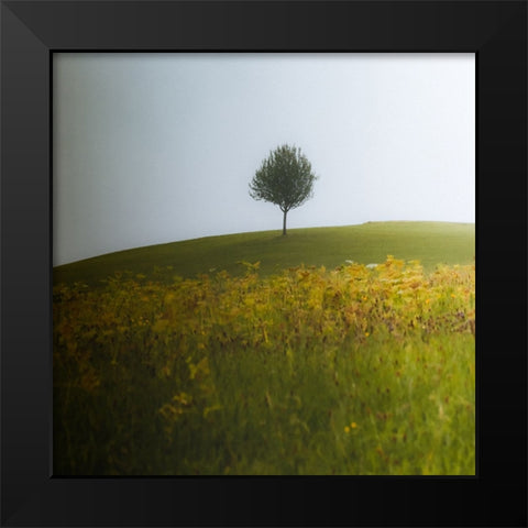 A Summer Day In August Black Modern Wood Framed Art Print by Wasinger, Renate