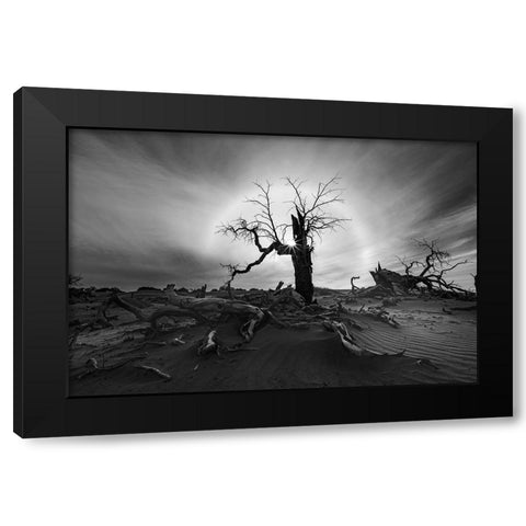 Solar Halo Black Modern Wood Framed Art Print by Liao, Yuhan