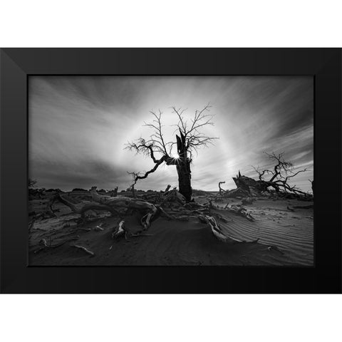 Solar Halo Black Modern Wood Framed Art Print by Liao, Yuhan